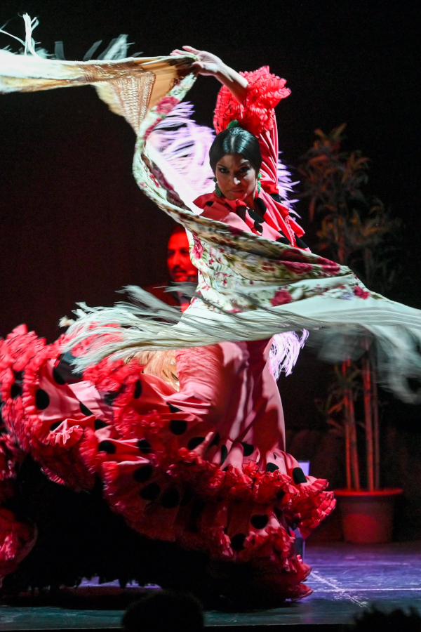 Flamenco Barcelona