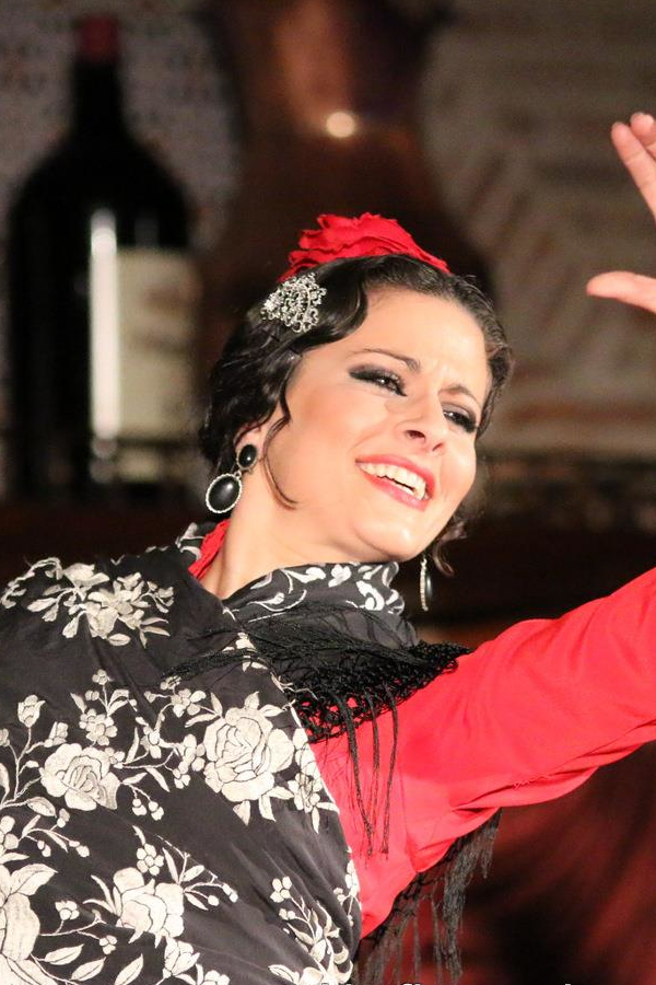 Flamenco Los Porches