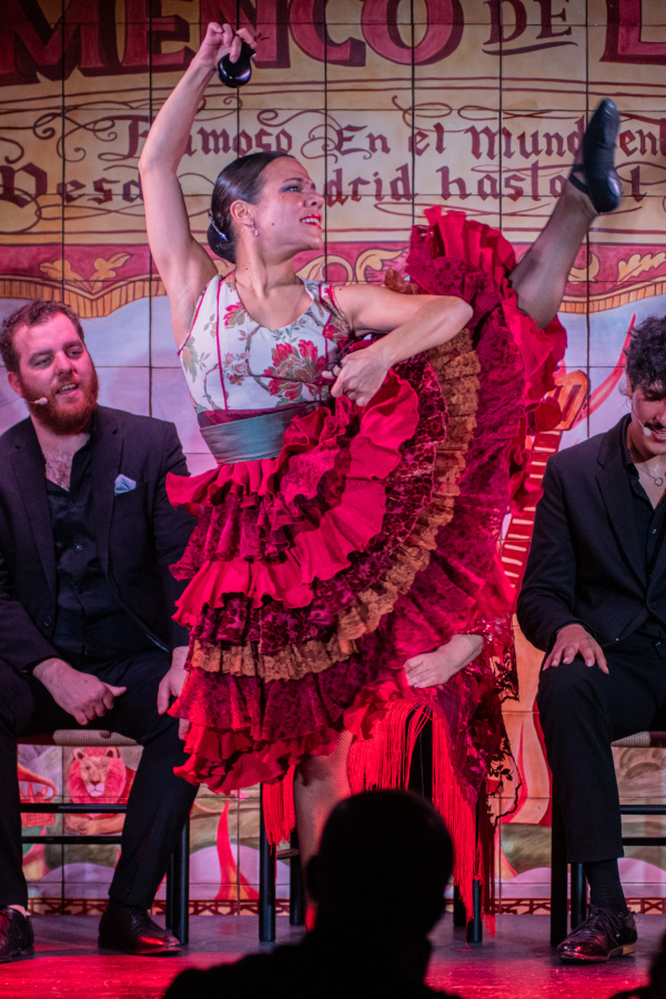 Flamenco de Leones