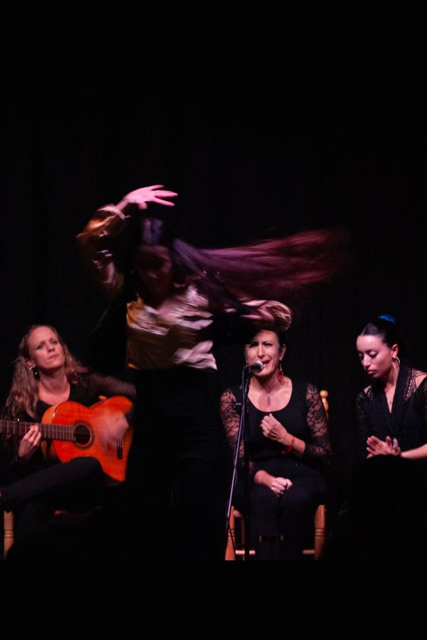 Flamenco en Fusionart