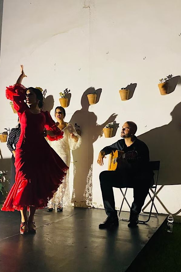 Flamencos por el Mundo
