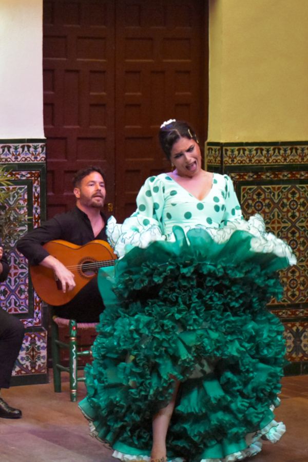 La Casa del Flamenco
