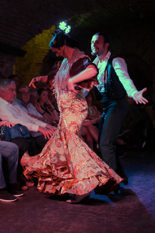 Museo Flamenco Premium