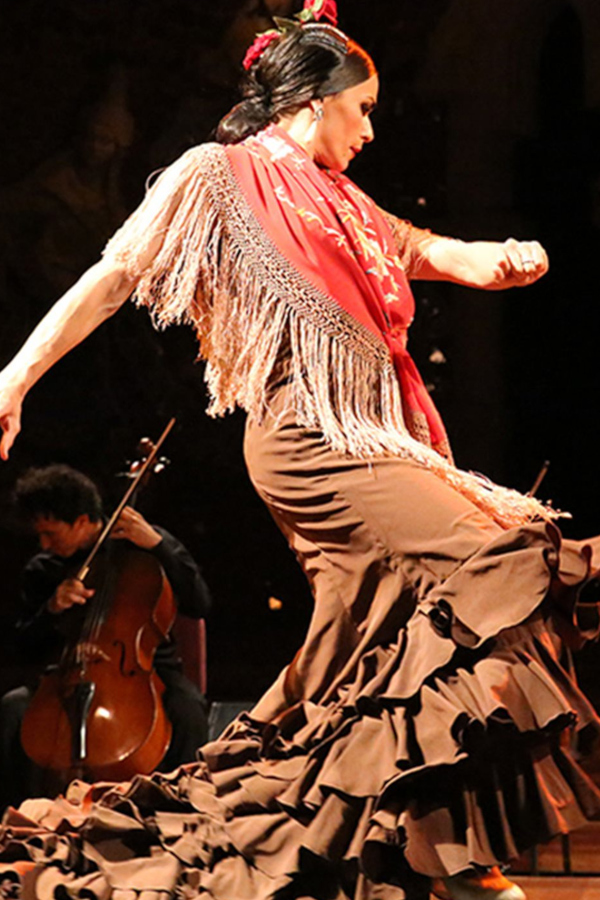 Opera y Flamenco 1