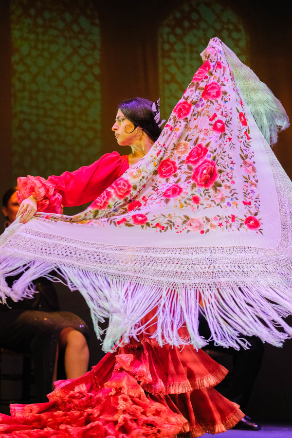 Teatro Flamenco Granada