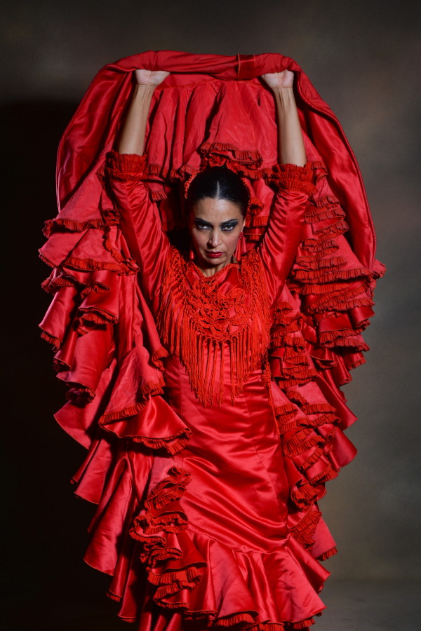 Teatro Flamenco Granada