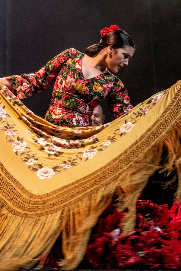 Teatro Flamenco Madrid