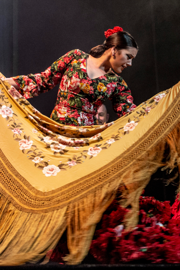 Teatro Flamenco Sevilla