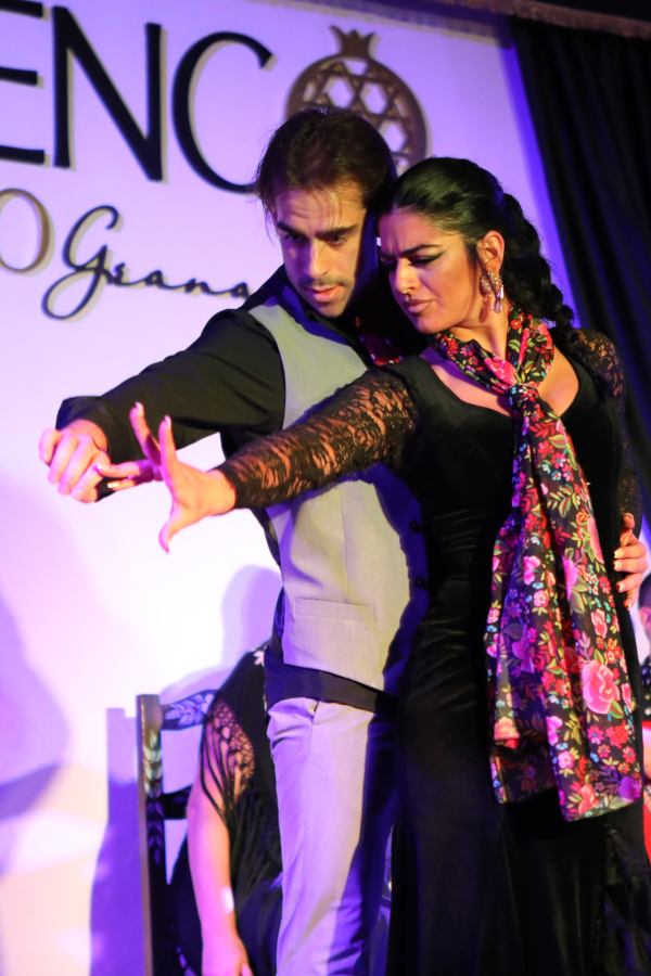 Flamenco en Palacio