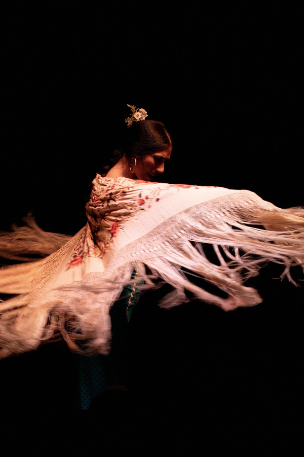 Flamenco La Galería