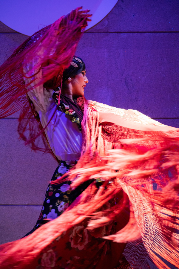 Flamenco en Vivo La Reina